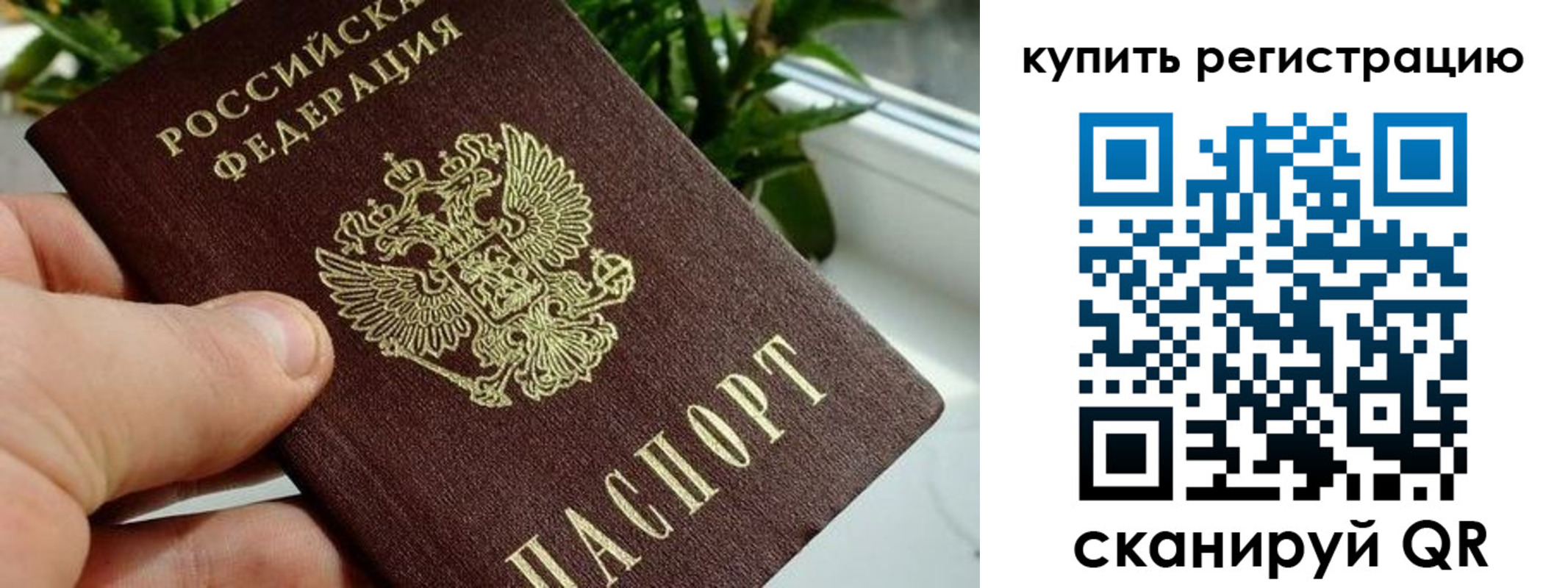 прописка гарантия в Жукове